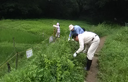 天覧山谷津の里づくりプロジェクト現地作業2021_02