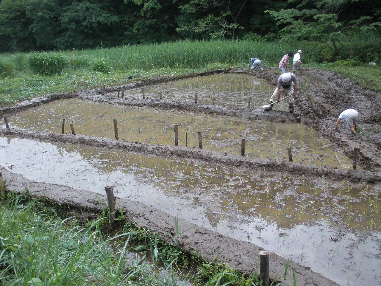 天覧山No2